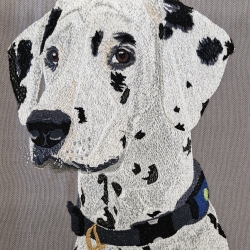 Dalmatiner - der Punkterocker - als Vollstickdatei - 13x18