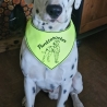 ITH Halstuch für mittelgroße/ große Hunde - 20x28 Rahmen
