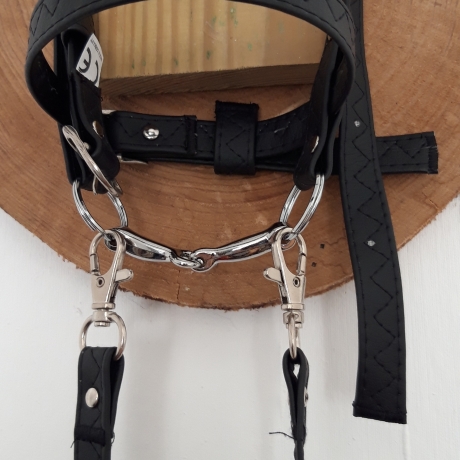 Hobbyhorse  Steckenpferd 