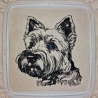 NEU Stickdatei Cairn Terrier Cully Hund 