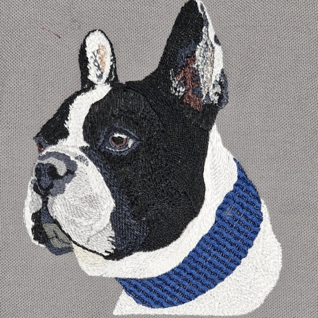Tyson - französische Bulldogge - als Vollstickdatei - 13x18