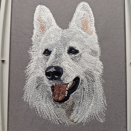 Ranon - Weißer Schweizer Schäferhund - Vollstick - 13x18