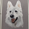 Ranon - Weißer Schweizer Schäferhund - Vollstick - 16x20