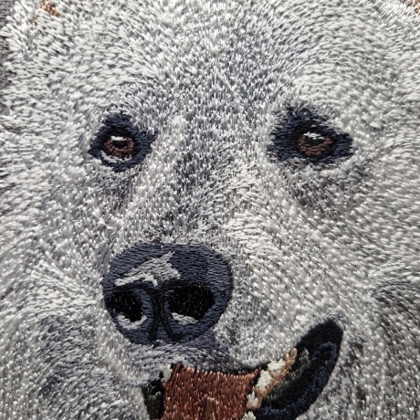 Ranon - Weißer Schweizer Schäferhund - Vollstick - 16x20