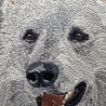 Ranon - Weißer Schweizer Schäferhund - Vollstick - 16x20