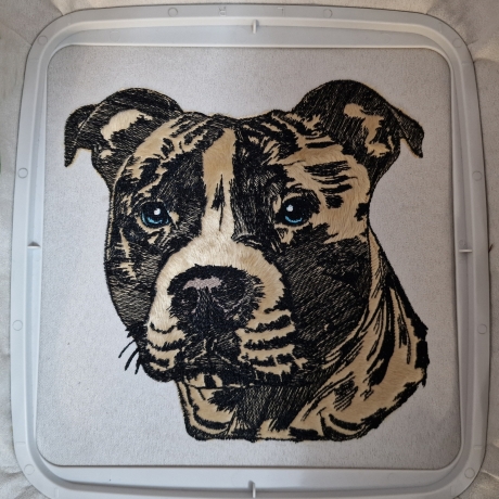 NEU Stickdatei Applikation Staffordshire Bullterrier Rachel 