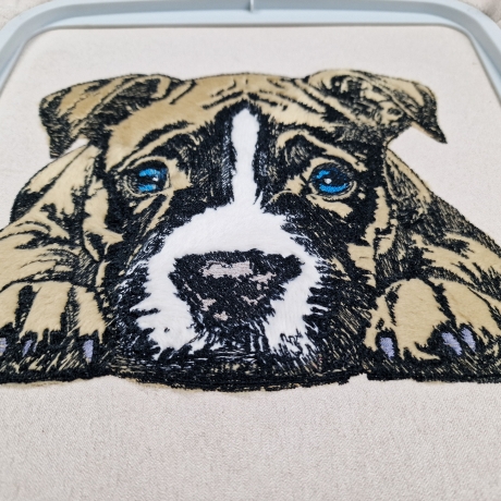 NEU Stickdatei Appli Staffordshire Bull Terrier Jan