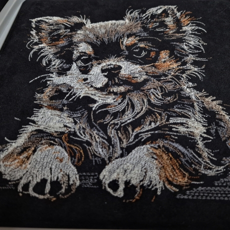 Neu Stickdatei Chihuahua Welpe Langhaar Cesar