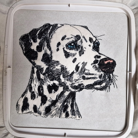 NEU Stickdatei Applikation Dalmatiner Ignaz 