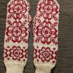 Fäustlinge/Handschuhe
