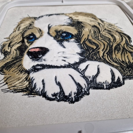 NEU Stickdatei Applikation King Charles Spaniel Lotte