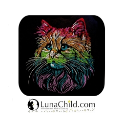 Stickdatei Stickdatei Katze Kitten Sino bunt