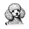 Stickdatei Pudel  Hund Darsy Sofortdownload Lunachild