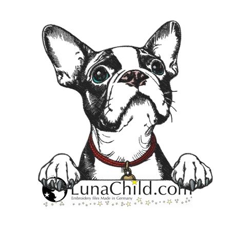 NEU Stickdatei Boston Terrier Kylo Hund realistisch