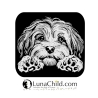 NEU Stickdatei Havaneser Giana Hund realistisch