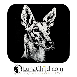 Stickdatei Podenco Canarico Kenau Hund realistisch