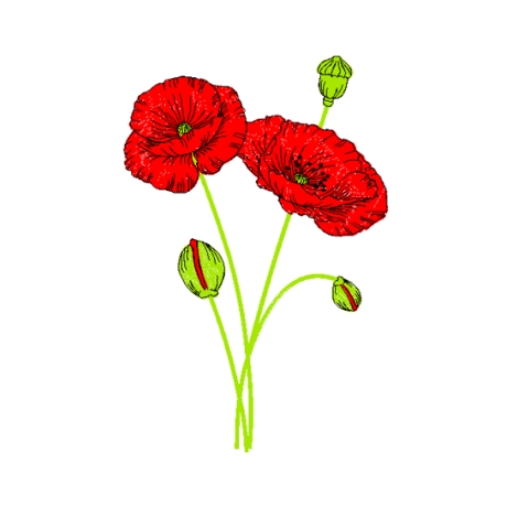 Mohn  - Stickdatei bei Michis Textilatelier