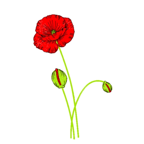 Mohn  - Stickdatei bei Michis Textilatelier