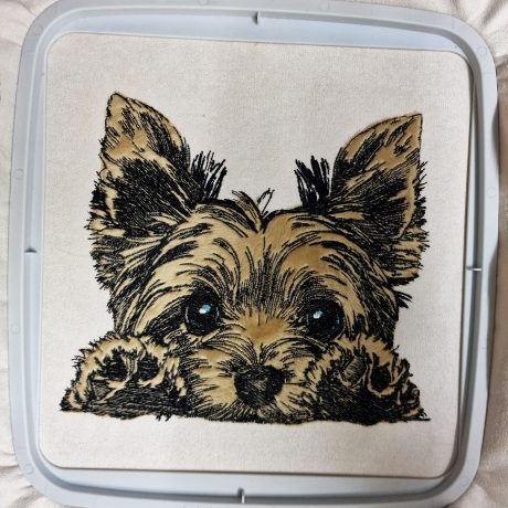 NEU Stickdatei Applikation Yorkshire Terrier Lucy