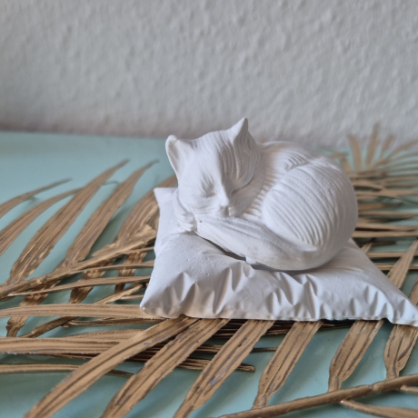 liegende Katze