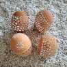 Ostereier echte Hühnereier Ostern Unikat Kunsthandwerk 4er-Set