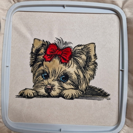 NEU Stickdatei Applikation Yorkshire Terrier Elas