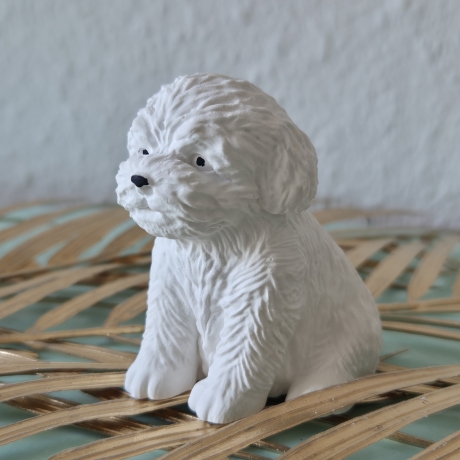Teddy Hund