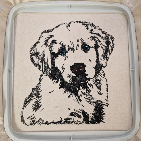 NEU Stickdatei Golden Retriever Welpe Muffin Hund 