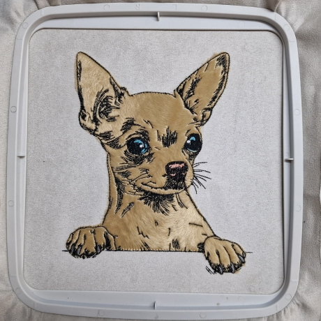 NEU Stickdatei Applikation Chihuahua Aage realistisch