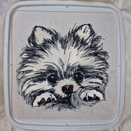 NEU Applikation Stickdatei Pomeranian  Lou Hund 