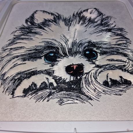 NEU Applikation Stickdatei Pomeranian  Lou Hund 