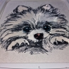 NEU Applikation Stickdatei Pomeranian  Lou Hund 