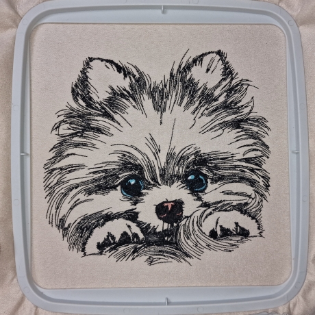 NEU Stickdatei Pomeranian Lou Welpe Zwergspitz Hund