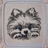 NEU Stickdatei Pomeranian Lou Welpe Zwergspitz Hund