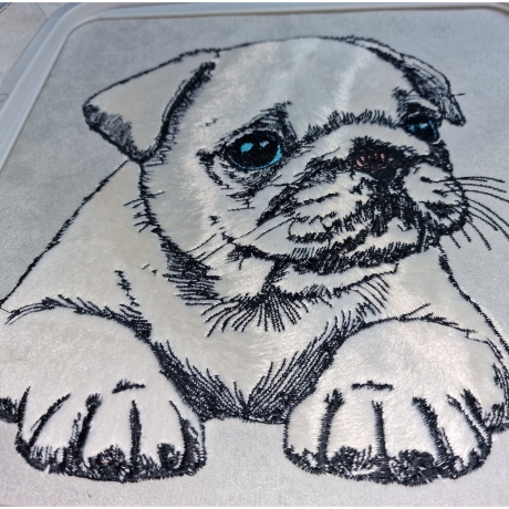 NEU Applikation Stickdatei Mops Welpe Daisy Hund 