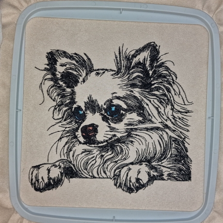 NEU Stickdatei Chihuahua Kim Hund realistisch