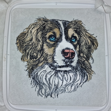 NEU Applikation Stickdatei Kooiker Cash LunaChild