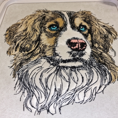 NEU Applikation Stickdatei Kooiker Cash LunaChild