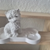 Terrier Hund