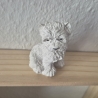 Terrier Hund