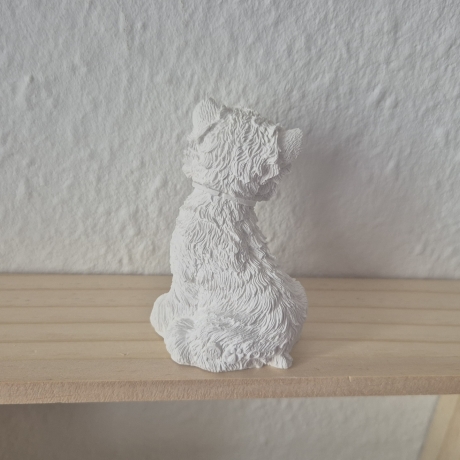 Terrier Hund