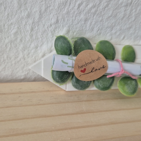 ABC/Bleistift Stiftform  zur Einschulung