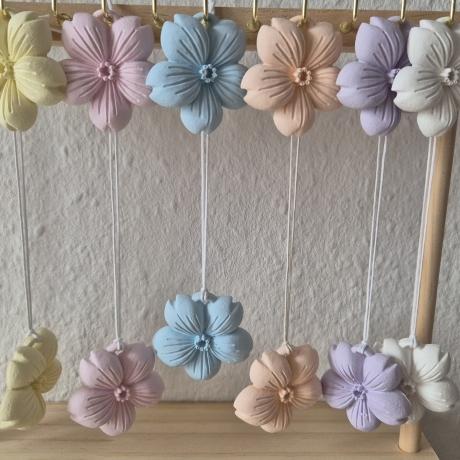 Kirschblüten in verschiedenen Farben
