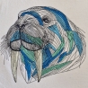 Walross - 15.76 x 14.10 cm