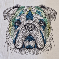 englische Bulldogge 01 - 13.46 x 12.70 cm
