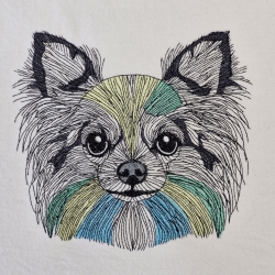 Chihuahua - 15.76 x 14.50 cm