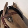 Hobbyhorse Trense und  Zubehör mit liebe zum Detail 