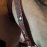 Hobbyhorse Trense und  Zubehör mit liebe zum Detail 