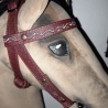 Hobbyhorse Trense und  Zubehör mit liebe zum Detail 
