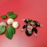 Epoxidharz Frosch rosa Blüte 